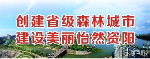 插深穴舒服吗创建省级森林城市 建设美丽怡然资阳