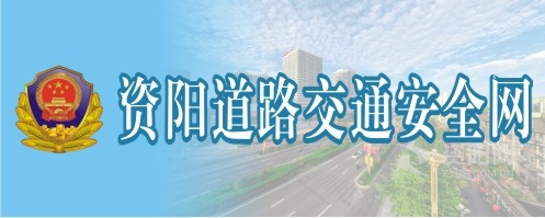 尻逼小电影资阳道路交通安全网