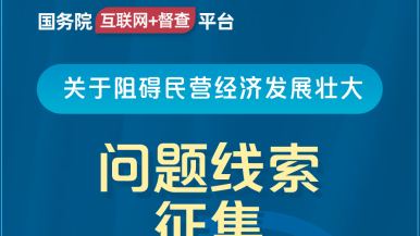 操逼操哭视频国务院“互联网+督查”平台公开征集阻碍民营经济发展壮大问题线索